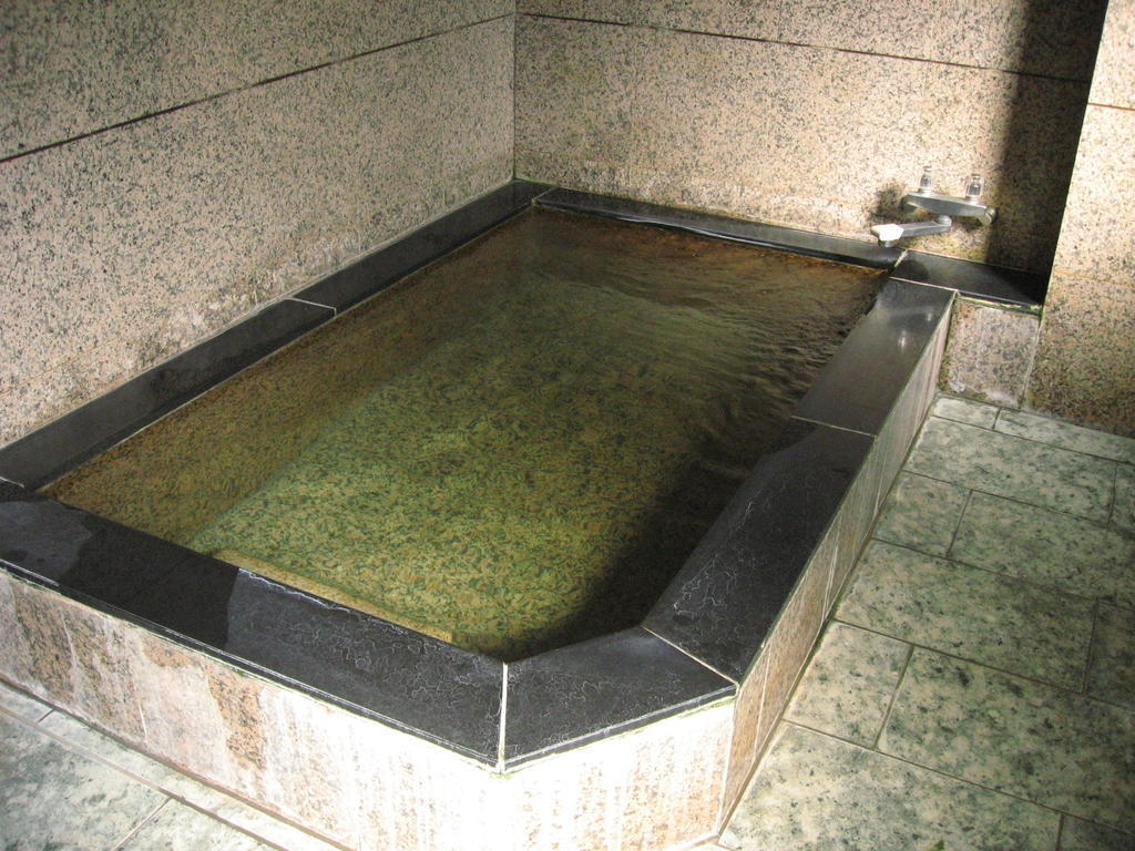 Ryokan Ichifujiso 2*